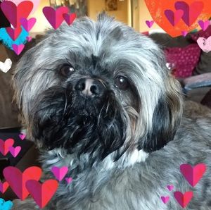 Meet your Posher, Penny